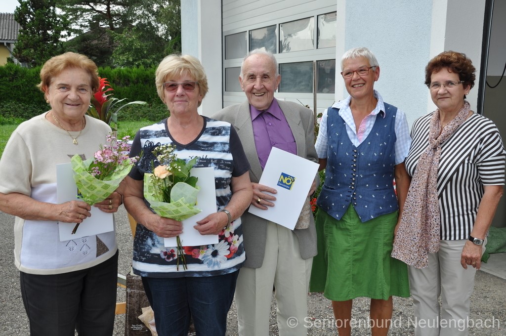 DSC 0728.JPGWoltron
