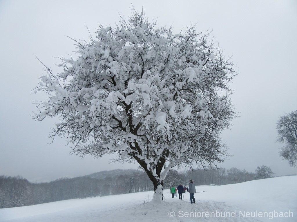 IMG 3500